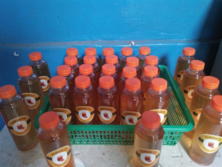 KOMBUCHA