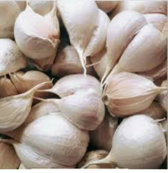 Bawang merah brebes&bawang putih kating