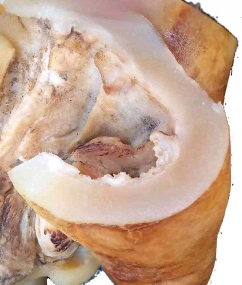 KIKIL KULIT SAPI SUPER BRAND