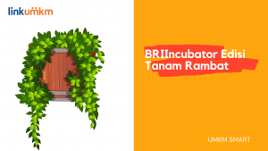 Materi BRIIncubator Edisi Tanam Rerambat