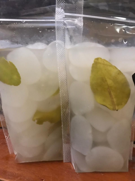 Manisan Kolang Kaling dan puding