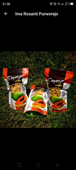 Banana weevil chips /kripik bonggol pisang 