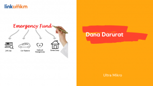 Ultra Mikro Dana Darurat