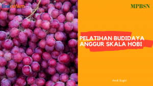 Pelatihan Budidaya Anggur Skala Hobi