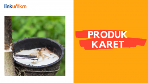 PRODUK KARET
