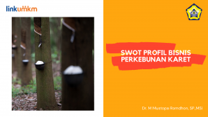 SWOT Profil Bisnis Perkebunan Karet