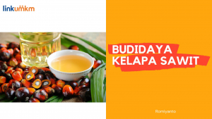 Budidaya Kelapa Sawit
