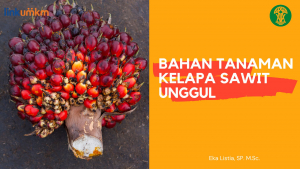 Bahan Tanaman Kelapa Sawit Unggul