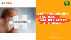 Best Management Practices Pada TBM Dan TM Kelapa Sawit