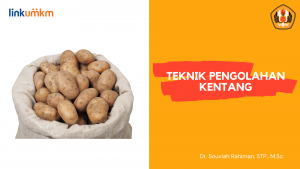 Teknik Pengolahan Kentang