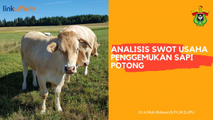 Analisis SWOT Usaha Penggemukan Sapi Potong