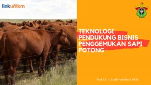 Teknologi Pendukung Bisnis Penggemukan Sapi Potong