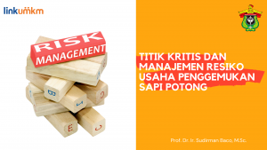 Titik Kritis dan Manajemen Resiko Usaha Penggemukan Sapi Potong