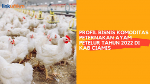 Profil Bisnis Komoditas Peternakan Ayam Petelur tahun 2002 di Kab. Ciamis