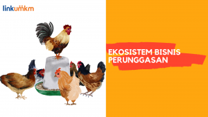 Ekosistem Bisnis Perunggasan