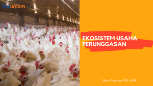 Ekosistem Usaha Perunggasan