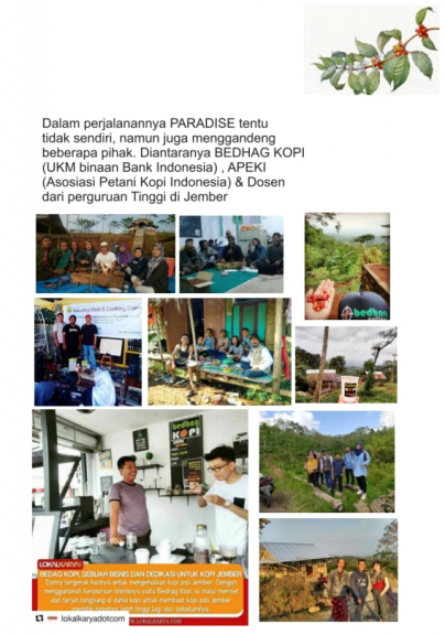 Kopi Robusta Djemberan