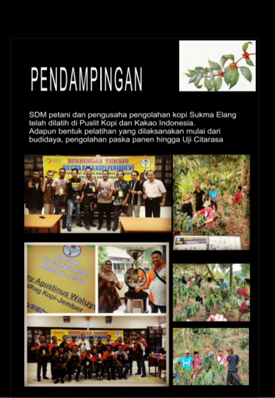 Kopi Robusta Djemberan