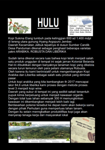 KOPI ARABIKA Djemberan