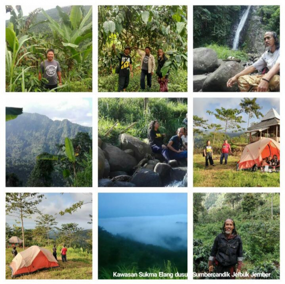 KOPI ARABIKA Djemberan