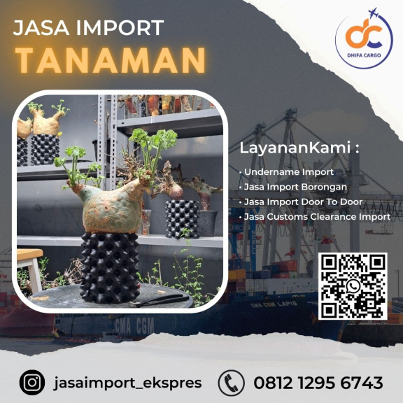 Jasa Import Baby Cart - 100p Aman Dan Terpecaya