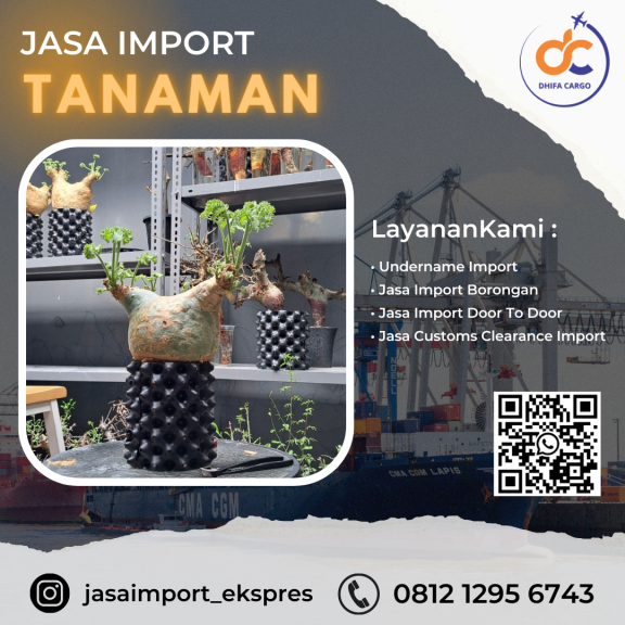 Jasa Import Alat Kesehatan Dari Singapore