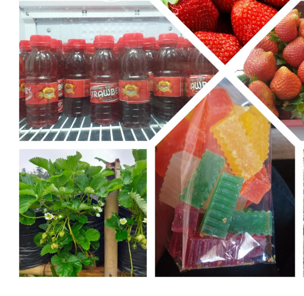 agar agar srtawberry dan sirup strawberry