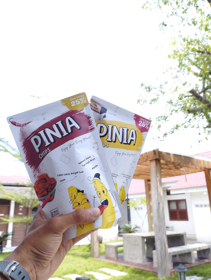Pinia Chips