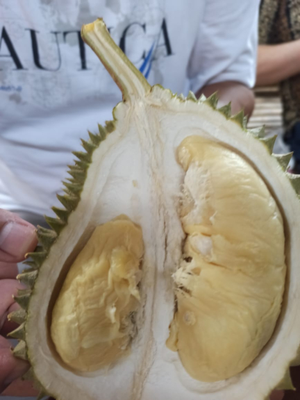 DURIAN MONTONG 500 GRAM
